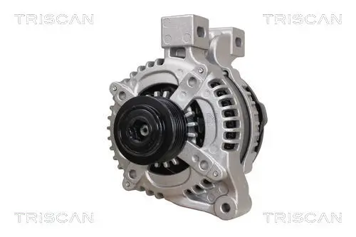 Generator 14 V TRISCAN 8310 10135
