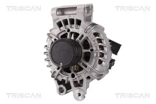 Generator 14 V TRISCAN 8310 10141