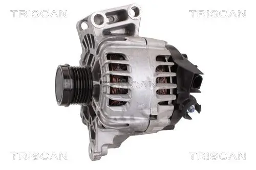 Generator 14 V TRISCAN 8310 10141 Bild Generator 14 V TRISCAN 8310 10141