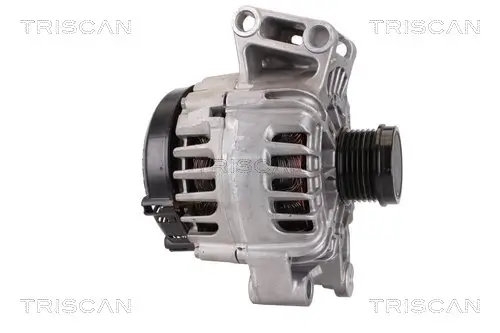 Generator 14 V TRISCAN 8310 10141 Bild Generator 14 V TRISCAN 8310 10141