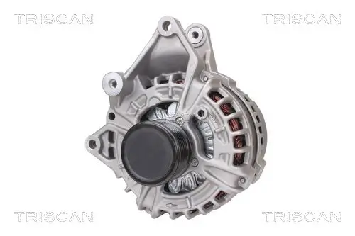Generator 14 V TRISCAN 8310 10143