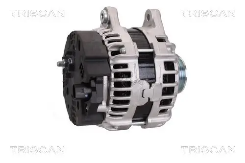Generator 12 V TRISCAN 8310 10144 Bild Generator 12 V TRISCAN 8310 10144