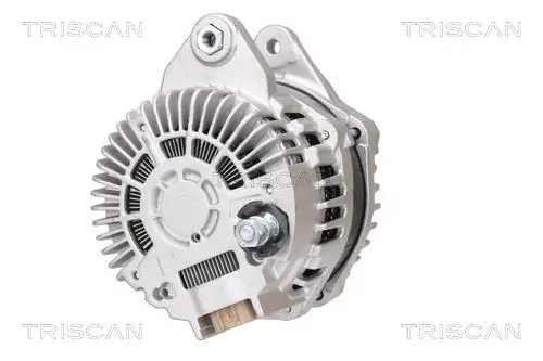 Generator 14 V TRISCAN 8310 10155 Bild Generator 14 V TRISCAN 8310 10155