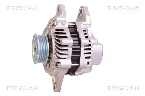 Generator 12 V TRISCAN 8310 10156 Bild Generator 12 V TRISCAN 8310 10156