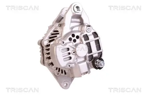 Generator 12 V TRISCAN 8310 10156 Bild Generator 12 V TRISCAN 8310 10156