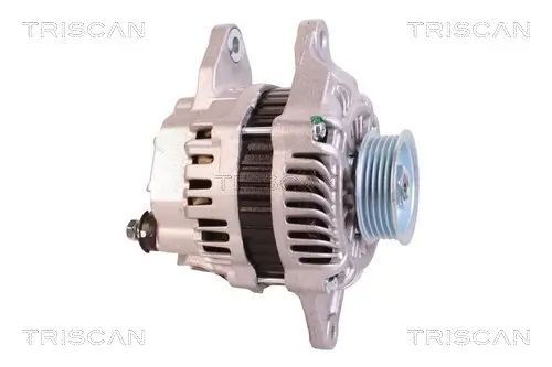 Generator 12 V TRISCAN 8310 10156 Bild Generator 12 V TRISCAN 8310 10156