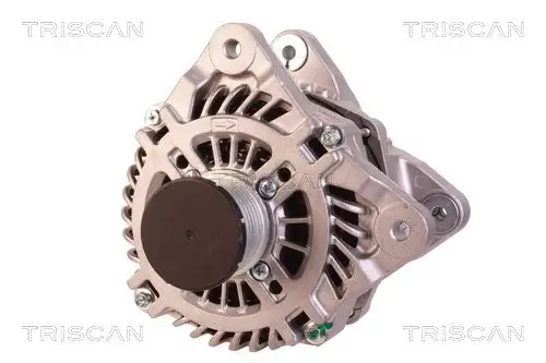 Generator 14 V TRISCAN 8310 10159