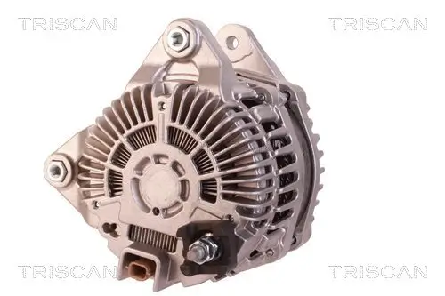 Generator 14 V TRISCAN 8310 10159 Bild Generator 14 V TRISCAN 8310 10159