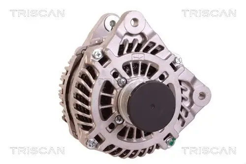 Generator 14 V TRISCAN 8310 10159 Bild Generator 14 V TRISCAN 8310 10159