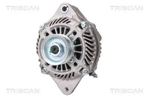 Generator 14 V TRISCAN 8310 10160