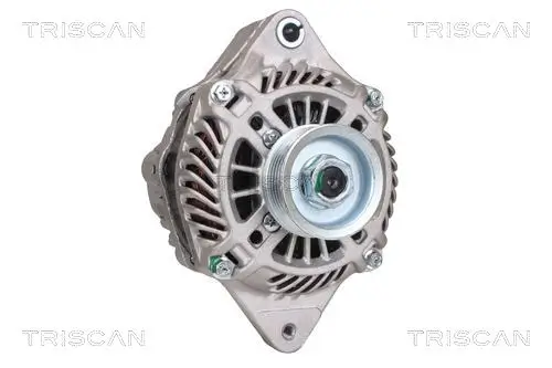 Generator 14 V TRISCAN 8310 10160 Bild Generator 14 V TRISCAN 8310 10160