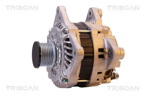 Generator 14 V TRISCAN 8310 10161 Bild Generator 14 V TRISCAN 8310 10161