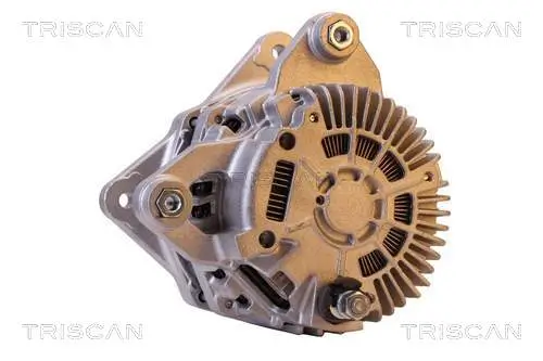 Generator 14 V TRISCAN 8310 10161 Bild Generator 14 V TRISCAN 8310 10161