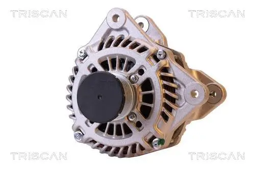 Generator 14 V TRISCAN 8310 10161 Bild Generator 14 V TRISCAN 8310 10161