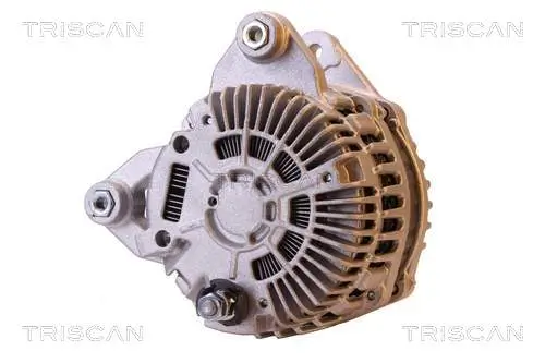 Generator 14 V TRISCAN 8310 10161 Bild Generator 14 V TRISCAN 8310 10161