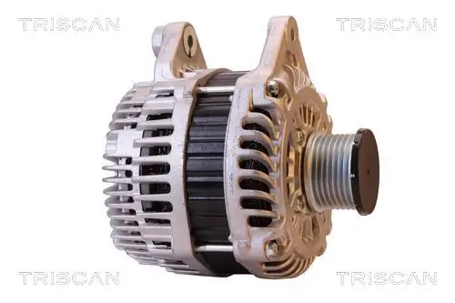 Generator 14 V TRISCAN 8310 10161 Bild Generator 14 V TRISCAN 8310 10161
