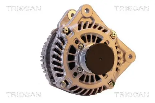 Generator 14 V TRISCAN 8310 10161 Bild Generator 14 V TRISCAN 8310 10161