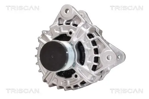 Generator 14 V TRISCAN 8310 10162