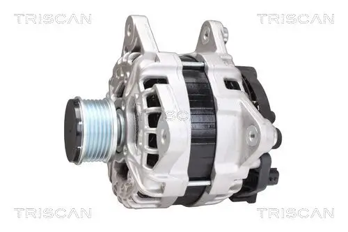 Generator 14 V TRISCAN 8310 10162 Bild Generator 14 V TRISCAN 8310 10162