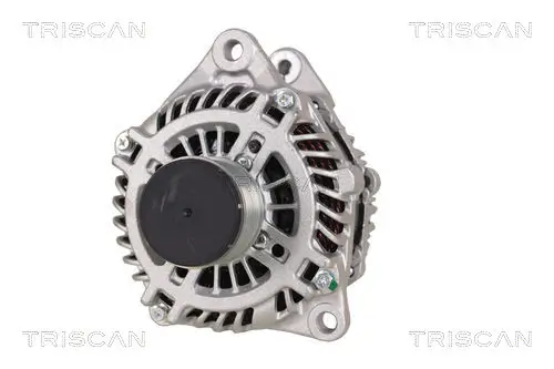 Generator 14 V TRISCAN 8310 10164