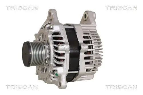 Generator 14 V TRISCAN 8310 10164 Bild Generator 14 V TRISCAN 8310 10164