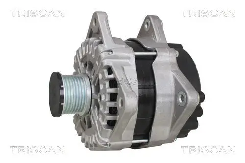 Generator 14 V TRISCAN 8310 10165 Bild Generator 14 V TRISCAN 8310 10165