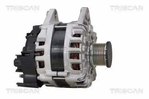 Generator 14 V TRISCAN 8310 10166 Bild Generator 14 V TRISCAN 8310 10166