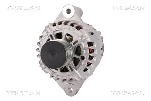 Generator 14 V TRISCAN 8310 10170