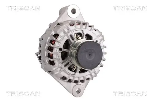 Generator 14 V TRISCAN 8310 10170 Bild Generator 14 V TRISCAN 8310 10170