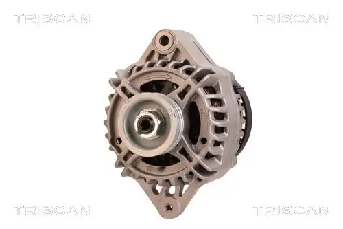 Generator 12 V TRISCAN 8310 10178 Bild Generator 12 V TRISCAN 8310 10178