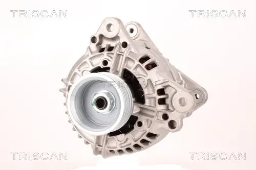 Generator 14 V TRISCAN 8310 10180