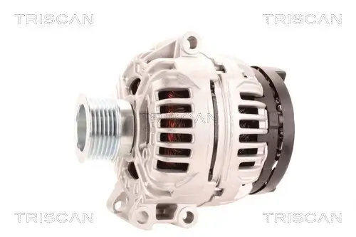 Generator 14 V TRISCAN 8310 10181 Bild Generator 14 V TRISCAN 8310 10181