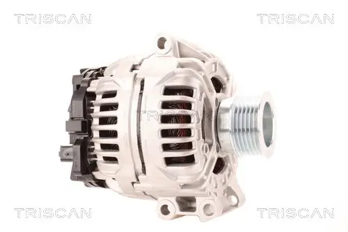 Generator 14 V TRISCAN 8310 10181 Bild Generator 14 V TRISCAN 8310 10181