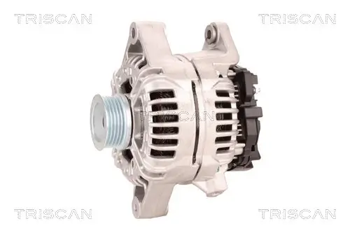 Generator 12 V TRISCAN 8310 10183 Bild Generator 12 V TRISCAN 8310 10183