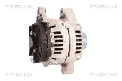 Generator 12 V TRISCAN 8310 10183 Bild Generator 12 V TRISCAN 8310 10183