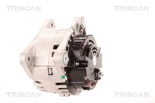 Generator 14 V TRISCAN 8310 10184 Bild Generator 14 V TRISCAN 8310 10184