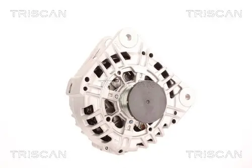 Generator 14 V TRISCAN 8310 10184 Bild Generator 14 V TRISCAN 8310 10184