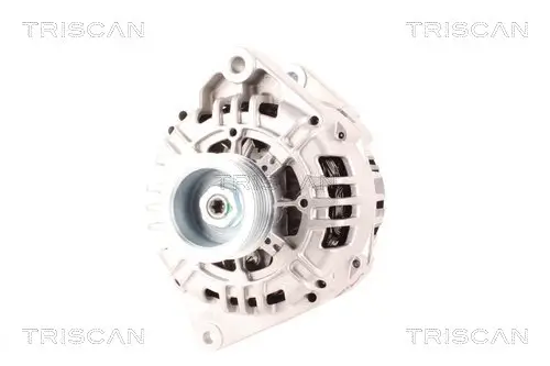 Generator 12 V TRISCAN 8310 10185