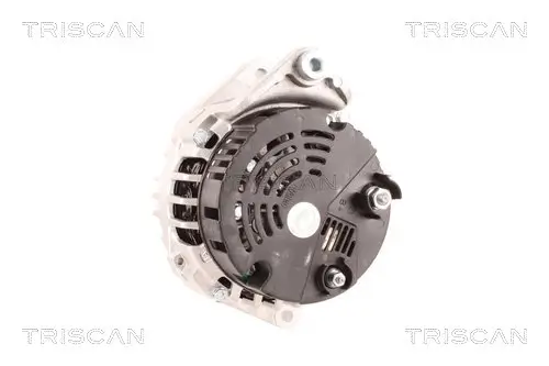 Generator 12 V TRISCAN 8310 10185 Bild Generator 12 V TRISCAN 8310 10185