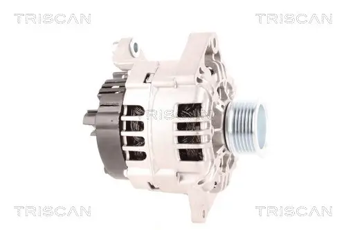 Generator 12 V TRISCAN 8310 10185 Bild Generator 12 V TRISCAN 8310 10185