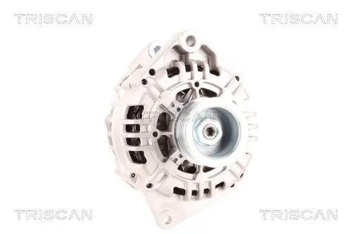 Generator 12 V TRISCAN 8310 10185 Bild Generator 12 V TRISCAN 8310 10185