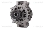 Generator 12 V TRISCAN 8310 10187