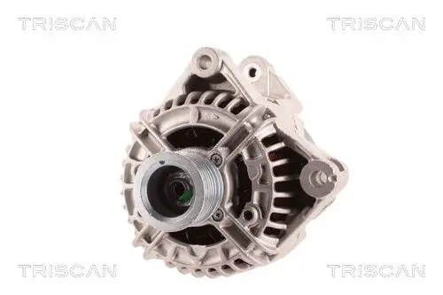 Generator 12 V TRISCAN 8310 11004