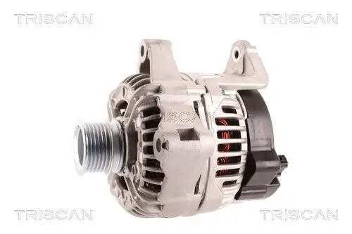 Generator 12 V TRISCAN 8310 11004 Bild Generator 12 V TRISCAN 8310 11004