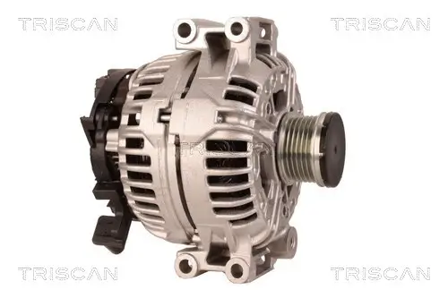 Generator 12 V TRISCAN 8310 11006 Bild Generator 12 V TRISCAN 8310 11006