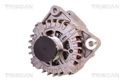 Generator 14 V TRISCAN 8310 11018 Bild Generator 14 V TRISCAN 8310 11018