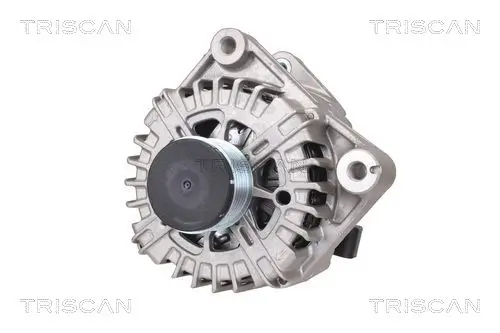 Generator 14 V TRISCAN 8310 11024