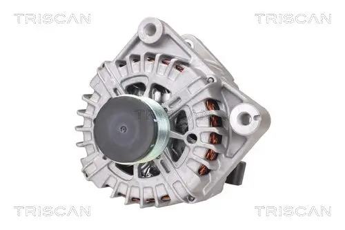 Generator 14 V TRISCAN 8310 11025