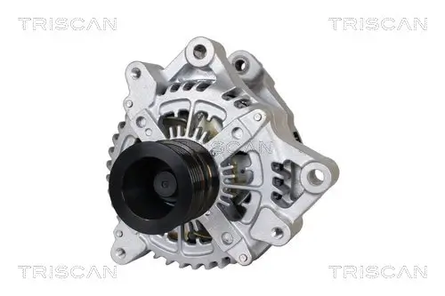 Generator 12 V TRISCAN 8310 11029