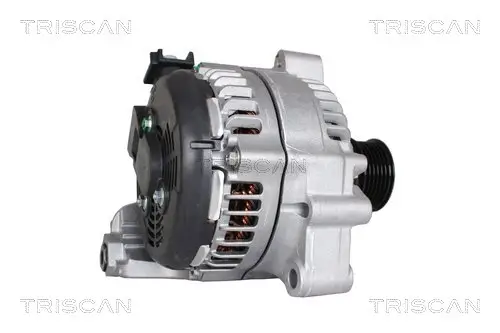 Generator 12 V TRISCAN 8310 11030 Bild Generator 12 V TRISCAN 8310 11030